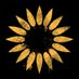 🌻DEPOIS DA TEMPESTADE - BANDA (@somosddt) Twitter profile photo 🌻DEPOIS DA TEMPESTADE - BANDA (@somosddt) Twitter profile photo