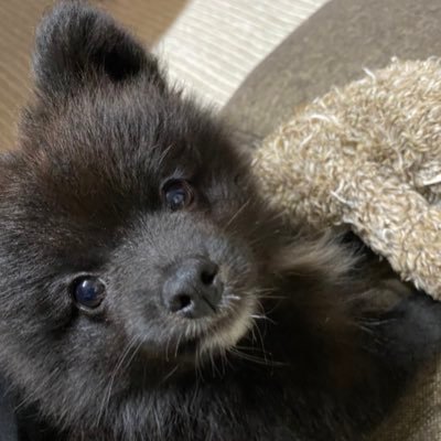 marumaru_gt's profile picture. 