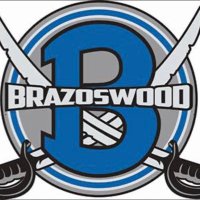 @LadyBucHoops (@ladybuchoops) 's Twitter Profile