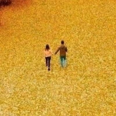 Mohamme59632984's profile picture. 