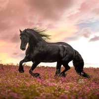 جان خان (@akashkhan76921) 's Twitter Profile