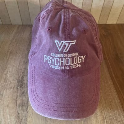 Chair and Professor, Virginia Tech Psychology,  My Own views here. she/her/hers