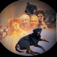 Schönfeld, Elisabeth (@lotteheino) 's Twitter Profile
