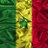 mamadoudieng632's profile image