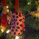 Marcella Renner - @marcellaprenner - Twitter