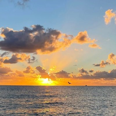 Helena2583's profile picture. 