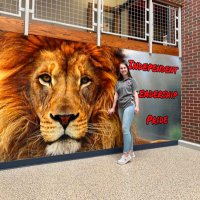 Ms. K (@learningwithk) 's Twitter Profile