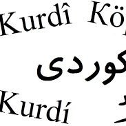 Ev hesab, tenê ji bo xizmeta edebîyat,  ziman, çand u hunerê Kurdî hatî avakirin. 
li ser vî hesabî tenê xebatên akademîk û zanistî tên weşandin.