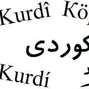 AKADEMÎA KURDÎ (@nurettnav1) 's Twitter Profile