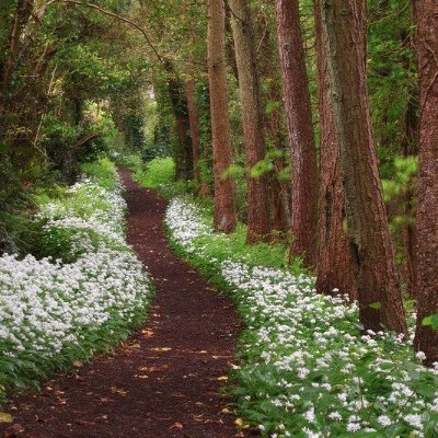 Ing. Agr. Esp. Suelos. Apasionado por los datos y por el análisis de la información.
Pasatiempos: leer, jardinería y arquitectura del paisaje.