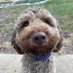 Terri Brinkman (@terribrinkman1) Twitter profile photo Terri Brinkman (@terribrinkman1) Twitter profile photo