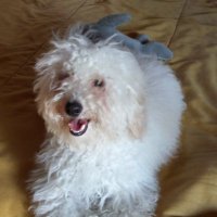 Rody (@rodolfojor82651) 's Twitter Profile