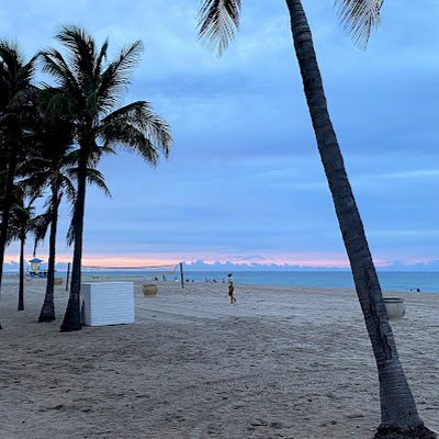 Alexand44688956's profile picture. 