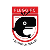 Fleggburgh FC(@HoptonFc) 's Twitter Profile Photo