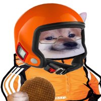 Dutch Freefall Fella (@dutchbonk_fella) 's Twitter Profile