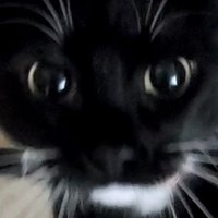 Heather Keys (@keysheather) 's Twitter Profile Photo