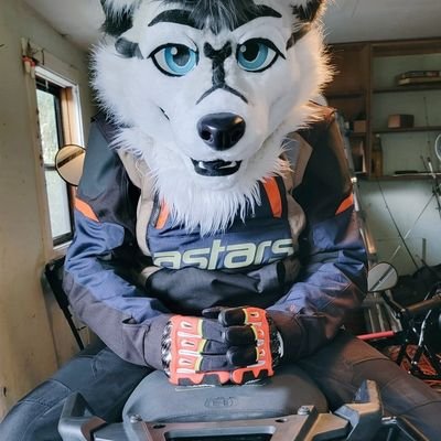 36 y/o wolf from CT.  Nuclear instrumentation and control tech.  Still terrible at writing profiles.  Icon by @metricvoid banner by @kr00bs suit: @desertfizz