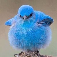 Aurélia YAYA (@aureliaperger) 's Twitter Profile Photo