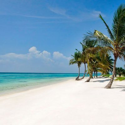 CarlosG23199898's profile picture. “Bienaventurado el hombre que tiene en ti sus fuerzas, En cuyo corazón están tus caminos. Salmos 84:5