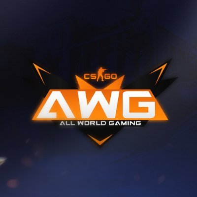 AWG CS:GO Profile