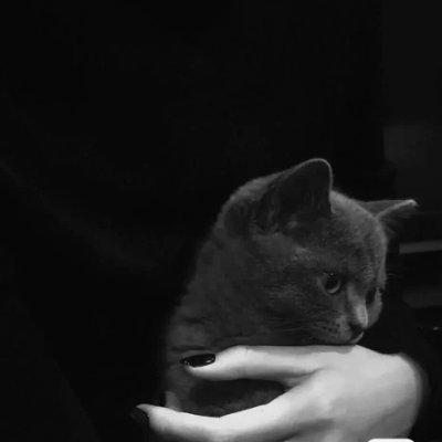 Nothing is impossible for a strong-willed woman🎇 Want to be an adventurer ❤️Cat mother