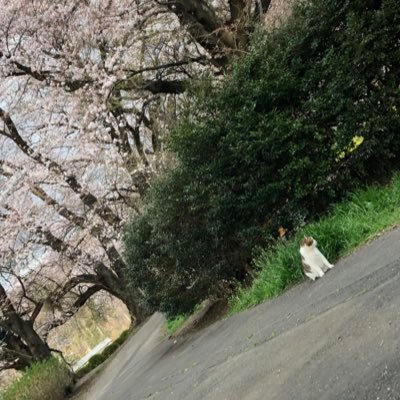 そらさんのプロフィール画像