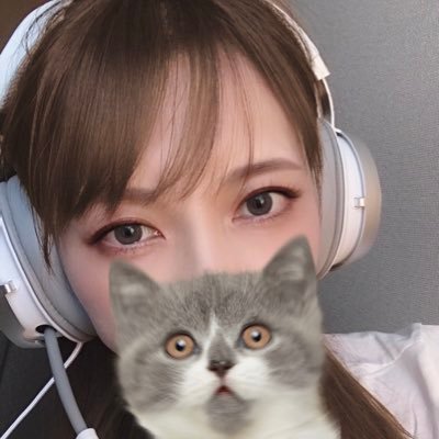 momomeow【ももみゃお】ゲームを楽しんでいる方などフォロバしますのでお気軽に𖥧 𖧧𖤣𖥧𖥣｡￤Fortnite🎧キーマウ⌨️🖱 ¦ VAROLANT💥¦ ママ👩🏻 𖠚ᐝ ¦ 🐈⸒⸒⸒⸒ ¦ @G4milktea ꔛ☺︎.*･ﾟ ¦ サブ垢▷▶︎@momoismokomo