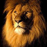 MASTER (@master00tb) 's Twitter Profile