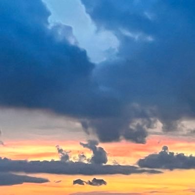 seal941210's profile picture. 要奔二了