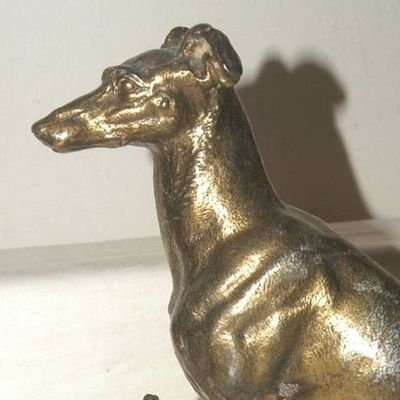 goldgreyhound's profile picture. animal worship will make you hate humanity & that's a good thing