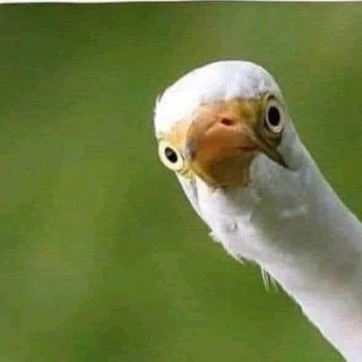 Traktec1147871's profile picture. 