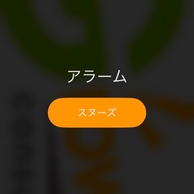 趣味（水槽や外食）｜無言フォローお許しください｜少しでも皆様のお役に立てますように☺️