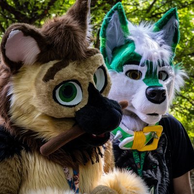 Official Twitter for the #DFWFurs Community! Follow for updates on local furry meetups + events in Dallas/Fort Worth.

PFP- @Colby_Husky Banner- @GildedDog1