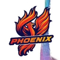 Percy Julian Girls Basketball🏀 (@leeladygenerals) 's Twitter Profile Photo