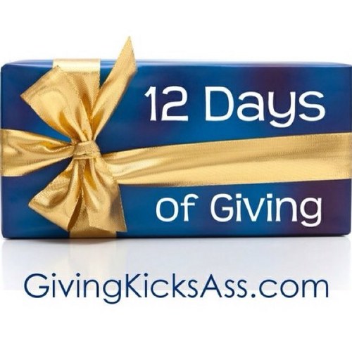 12 Days.12 Charities.12 Influencers.One message: Give Back.  Co-founded by @josephranseth @CharityIdeas and @fsukatie