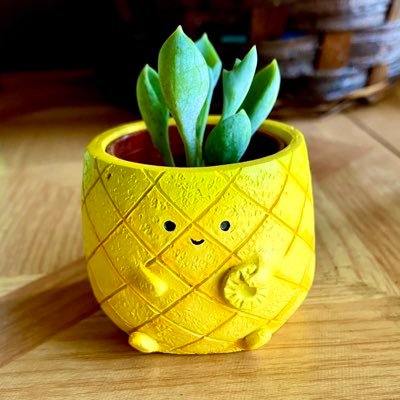 ○さんのプロフィール画像
