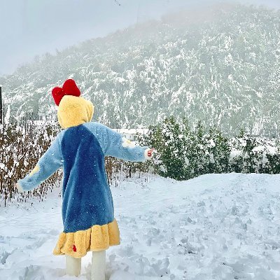 prita_puspa's profile picture. On the road of their own insistence, with the desire and expectation to slowly meet a better self!