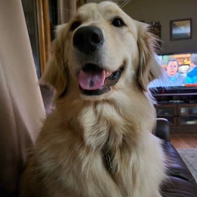 emsnh74's profile picture. Honda Parts Manager ,
Grappone Honda