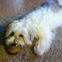 Susie Wallace - @SusieWallace3 - Twitter