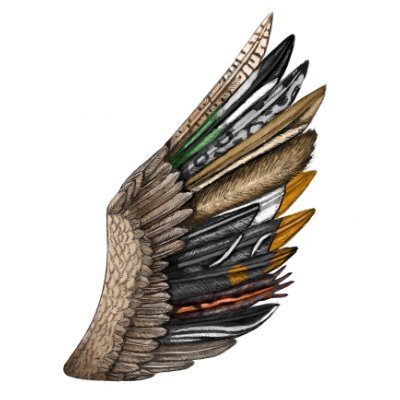 DaleWildlife's profile picture. 東京農業大学 農学部 生物資源開発学科 野生動物学研究室の菊地デイル万次郎（助教）のゼミです。ゼミ内の活動を紹介します。研究テーマは動物行動学や行動生態学に関連し、対象は鳥類や哺乳類が中心ですが、こだわりはありません。形態や動きを分析するバイオメカニクス、探検的なフィールドワークが特色です。たまに学生もポストします。