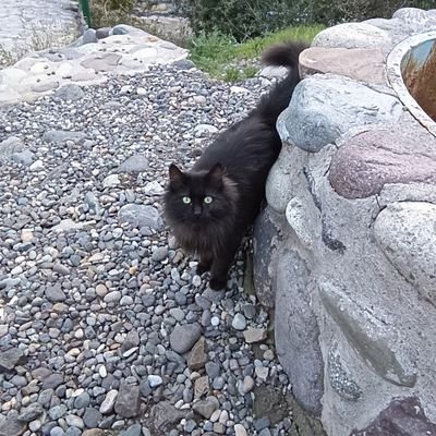 JessicaRoj69131's profile picture. Nada