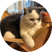 @kazukazu777🍜ラーメン党🍥 (@kazukazu7774) 's Twitter Profile Photo @kazukazu777🍜ラーメン党🍥 (@kazukazu7774) 's Twitter Profile Photo