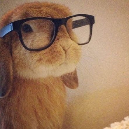 QuackityKorean's profile picture. ★ 🦇    Z E R O B A S E O N E  !