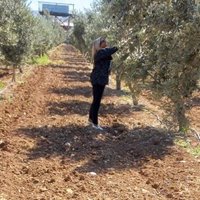 🇹🇷D.Yelda Demirtok Çelik. (@demirtokdmrt) Twitter profile photo