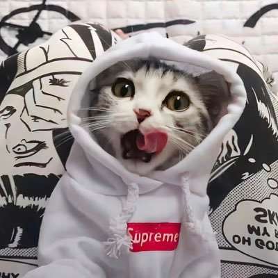 LiangRanCN's profile picture. 闲