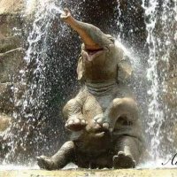 Tina (@tina13057) 's Twitter Profile