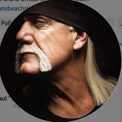 Hulk Hogan