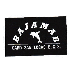 InfoBAJAMAR's profile picture. 愛媛県のダイビングショップです！