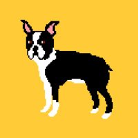 🐶こうき (@kokiikko) 's Twitter Profile Photo