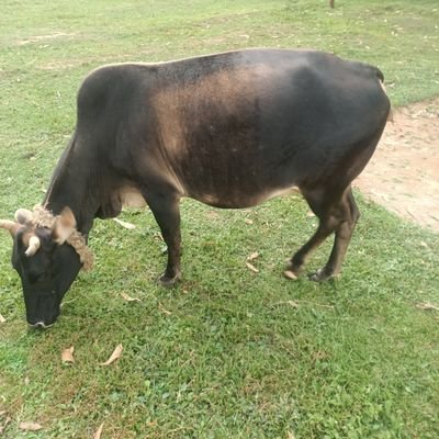 ponyango20021's profile picture. Life makes meaning when u focus